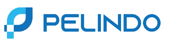 PT PELINDO (PELABUHAN INDONESIA)